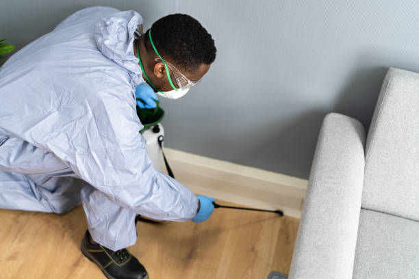 Emergency Pest Control in Springdale, MD